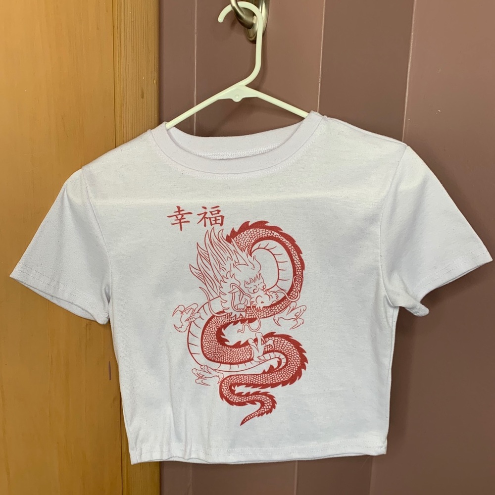 Cute dragon crop top  🐉
